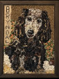 [Maureen Sorenesen Bryndal, the Super Wonderdog image]
